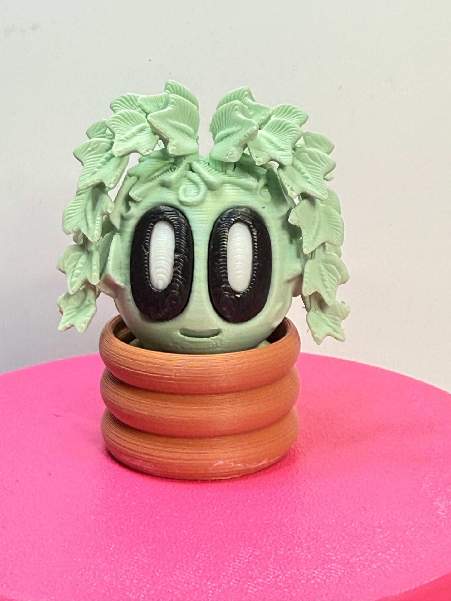 2-2.25" Cutie Pie Potted Plants