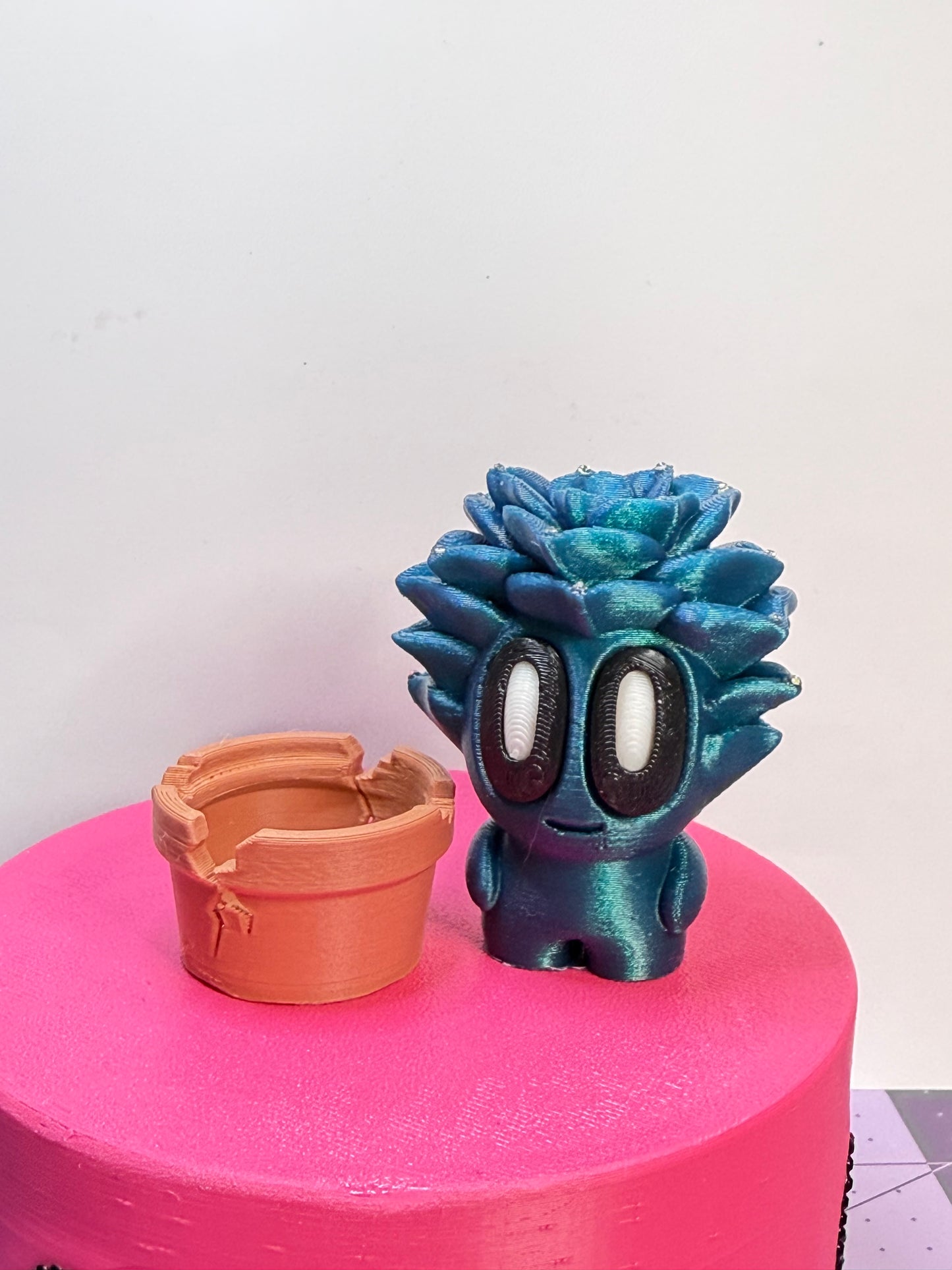 2-2.25" Cutie Pie Potted Plants