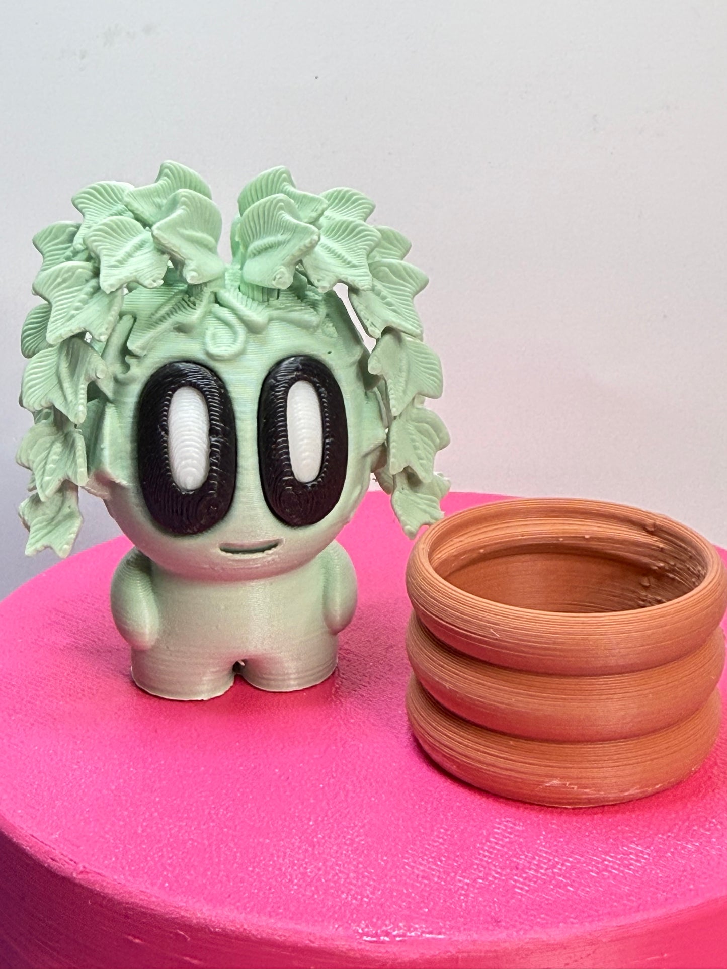 2-2.25" Cutie Pie Potted Plants