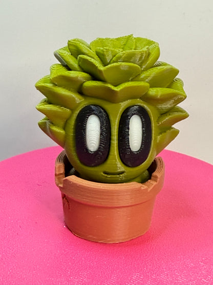 2-2.25" Cutie Pie Potted Plants