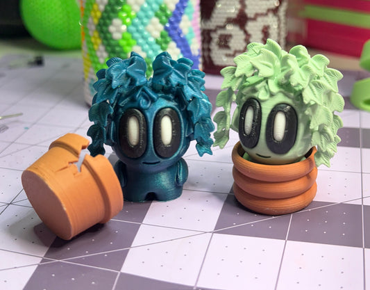 2-2.25" Cutie Pie Potted Plants