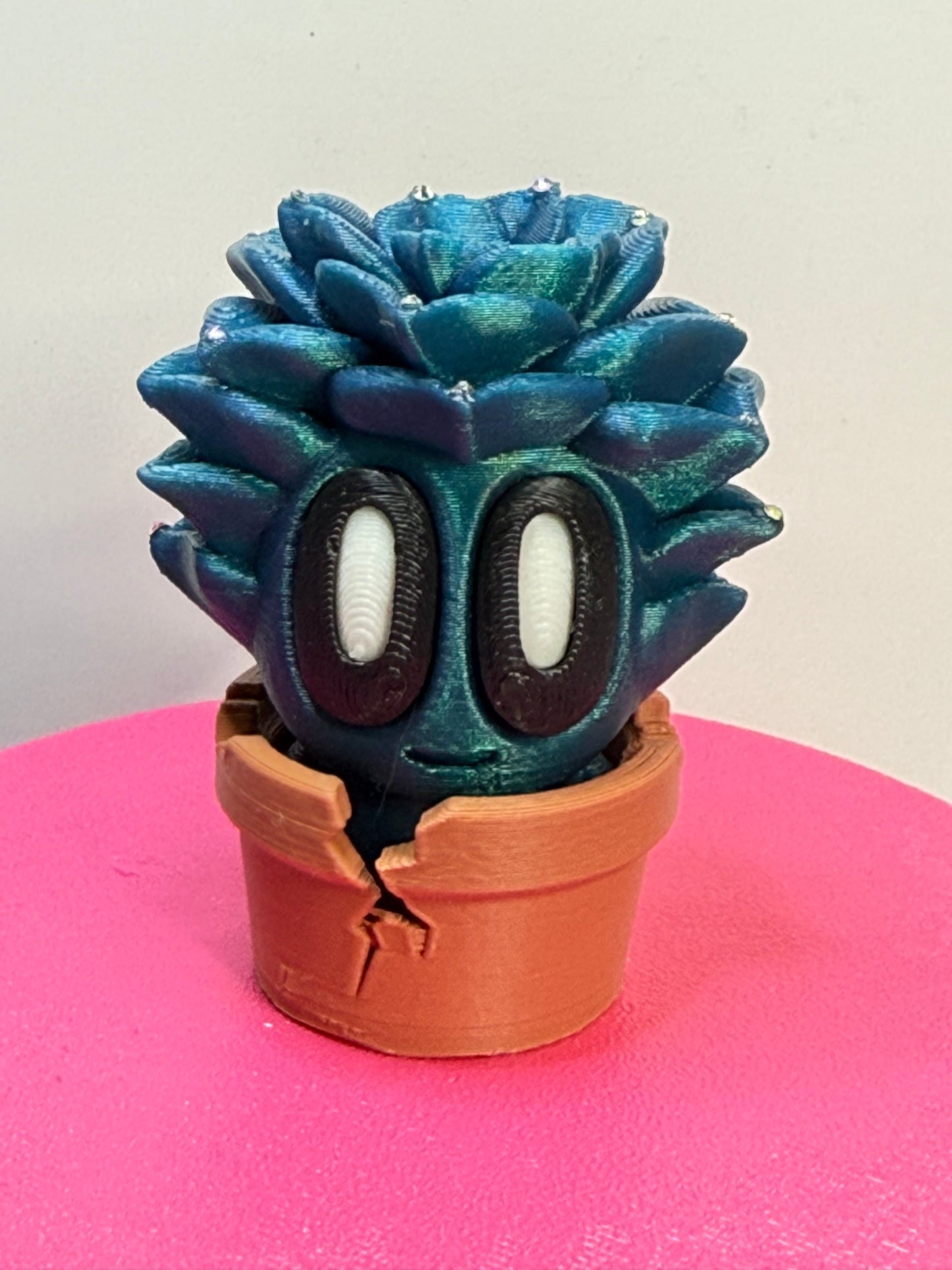 2-2.25" Cutie Pie Potted Plants
