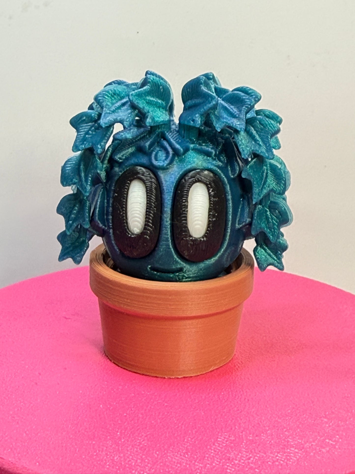 2-2.25" Cutie Pie Potted Plants