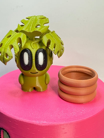 2-2.25" Cutie Pie Potted Plants