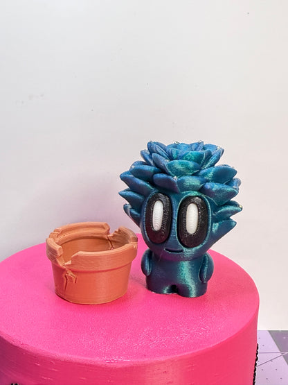 2-2.25" Cutie Pie Potted Plants