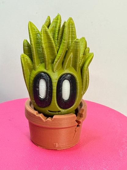 2-2.25" Cutie Pie Potted Plants